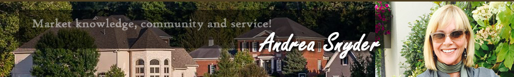 Andrea Snyder - Indianapolis, Carmel, Fishers Indiana Real Estate and Homes